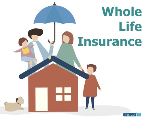 Whole Life Insurance: A Complete Guide to Understanding Benefits and Costs